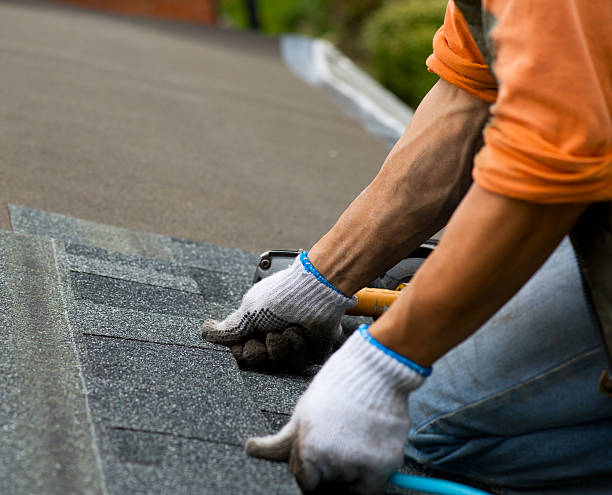 Best Roof Repair Services  in Black Creek, WI