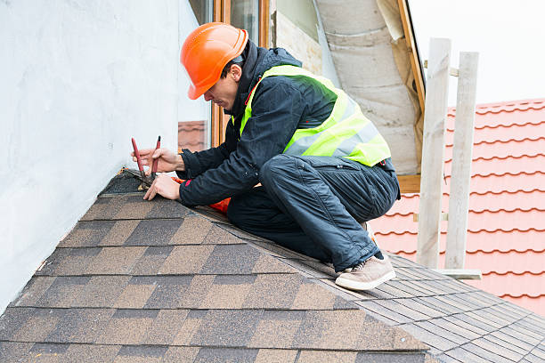 Best Metal Roofing Contractor  in Black Creek, WI