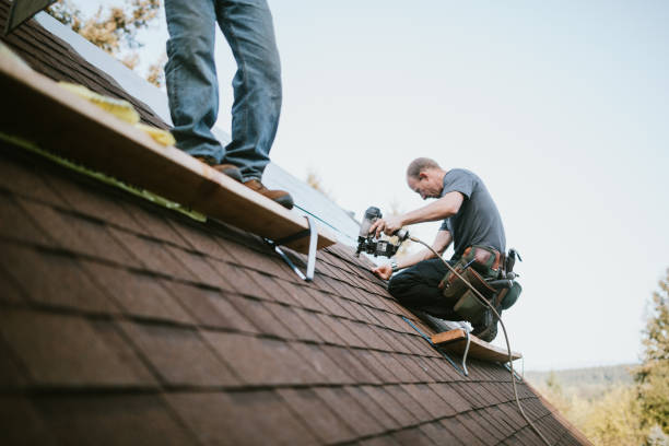 Best Residential Roofing Contractor  in Black Creek, WI