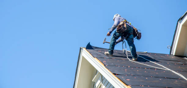 Best Roof Maintenance Services  in Black Creek, WI